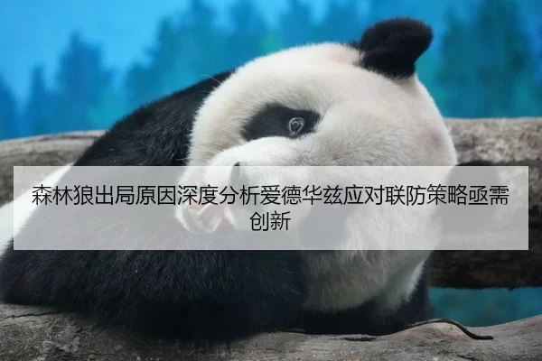 森林狼出局原因深度分析爱德华兹应对联防策略亟需创新